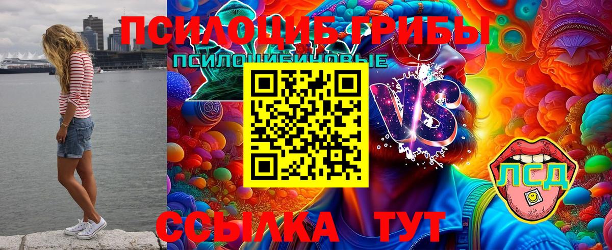 Междуреченск  Псилоцибиновые грибы мухоморы  Вход с VPN 