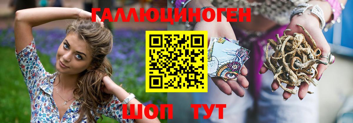 Псилоцибиновые грибы Psilocybe Междуреченск